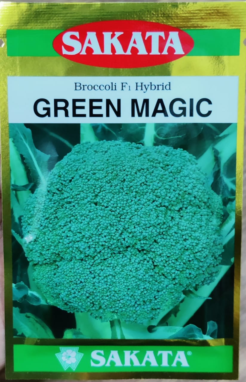 Broccoli Green Magic (Sakata Seeds - 2000 seeds)