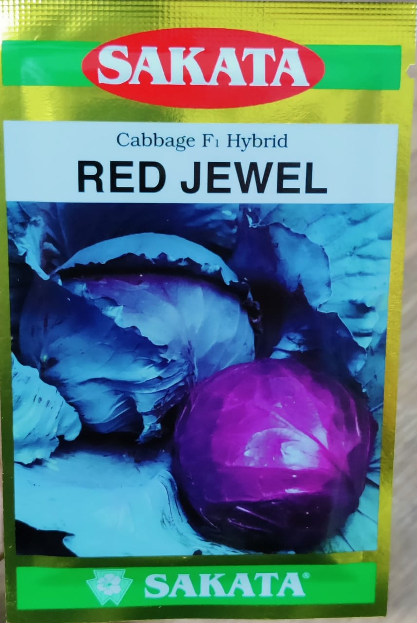Cabbage Red Jewel (Sakata Seeds - 10 gm)
