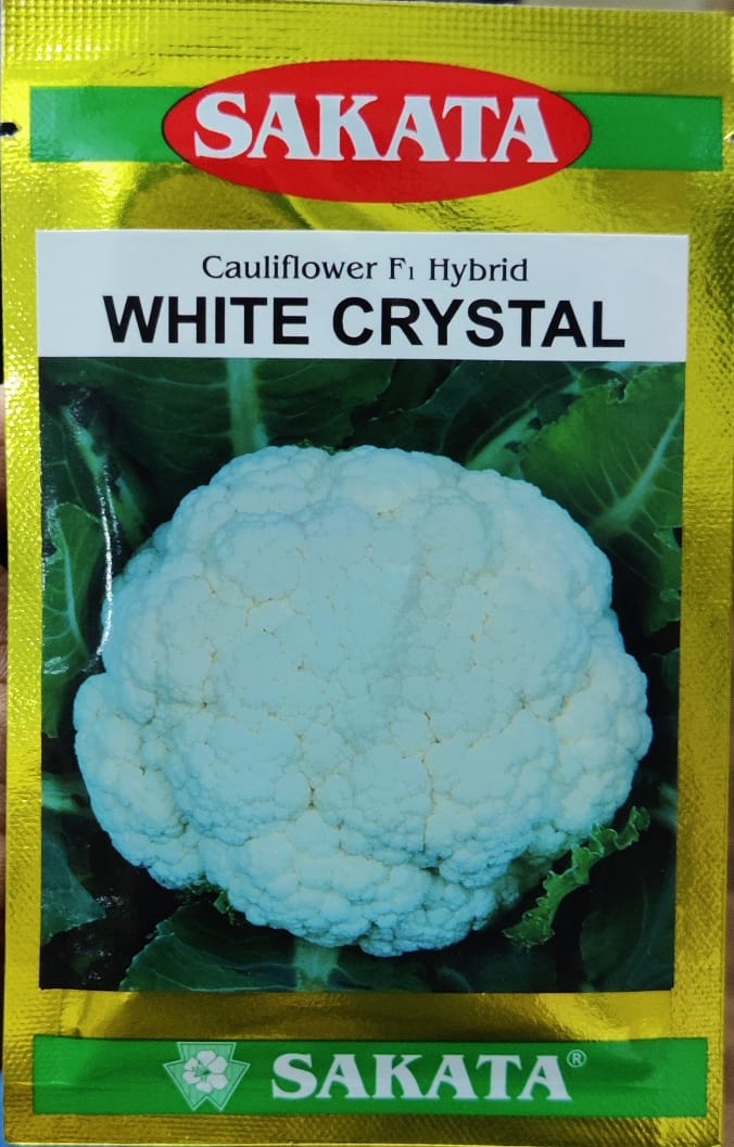 Cauliflower White Crystal (Sakata Seeds - 10 gm)
