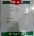 Celosia Prestige Scarlet (Sakata Seeds - 1000 Seeds)