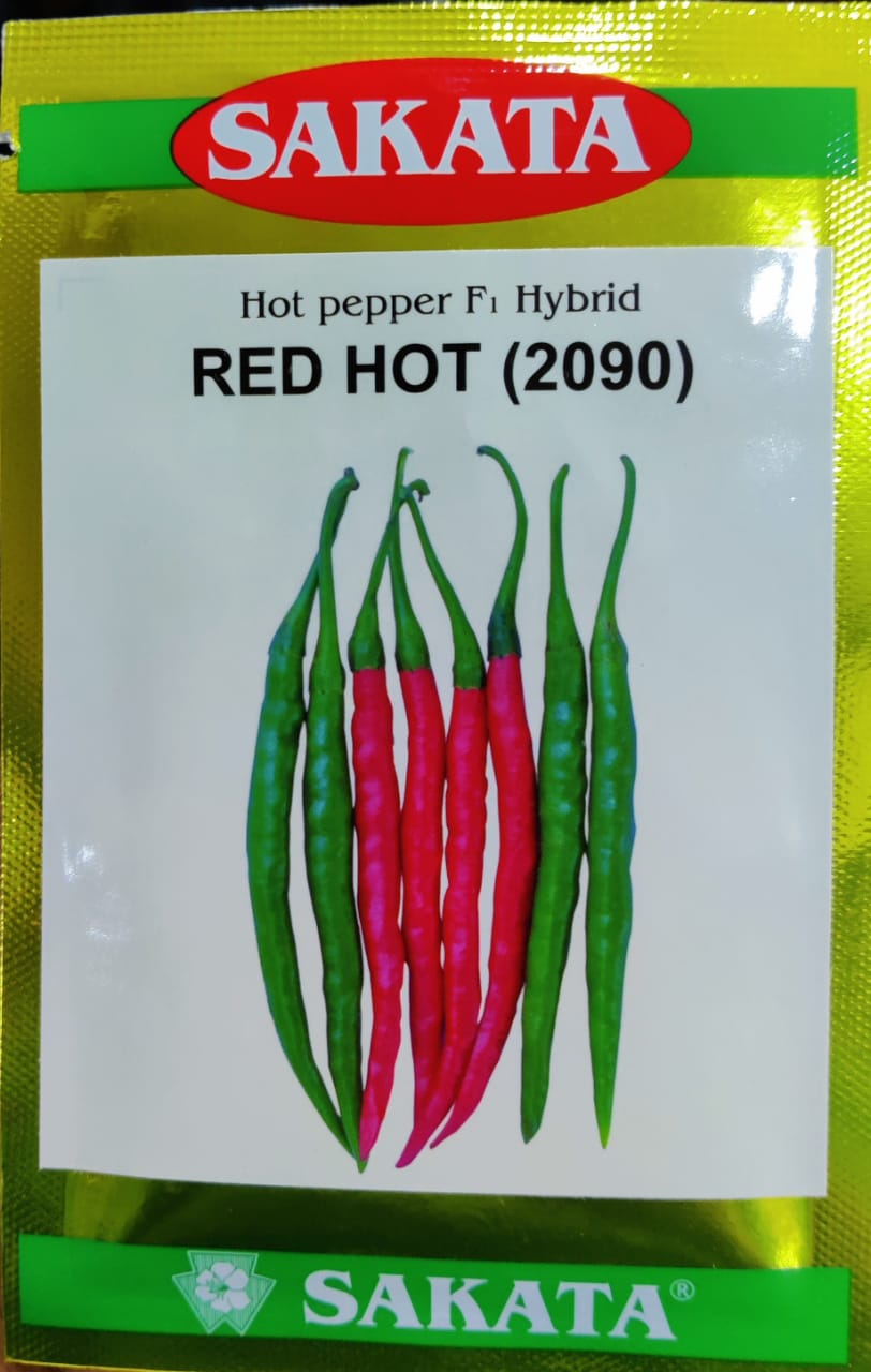 Chilli Red Hot 2090 (Sakata Seeds - 10 gm)