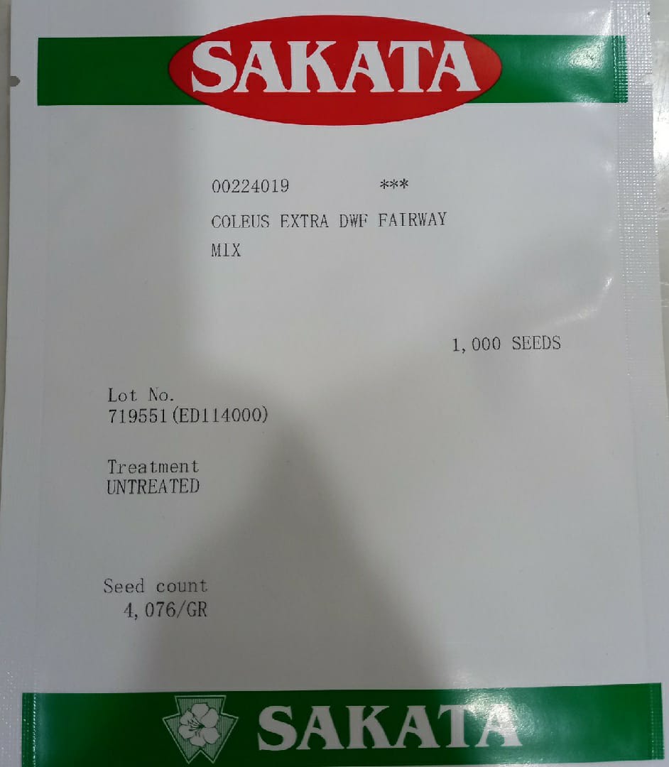 Coleus Fairway Mix (Sakata Seeds - 1000 Seeds)