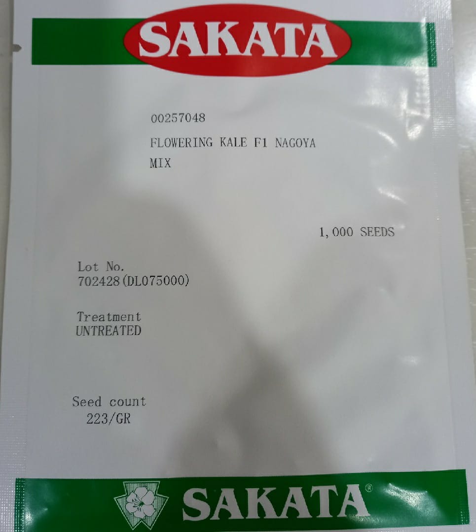 Flowering Kale Nagoya Mix (Sakata Seeds - 1000 Seeds)