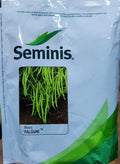 Beans Falguni (Seminis Seeds - 500 gm)