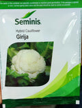 Cauliflower Girija (Seminis Seeds - 10 gm)