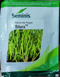 Chilli Sitara (Seminis Seeds - 1500 Seeds)