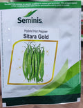 Chilli Sitara Gold (Seminis Seeds - 1500 Seeds)