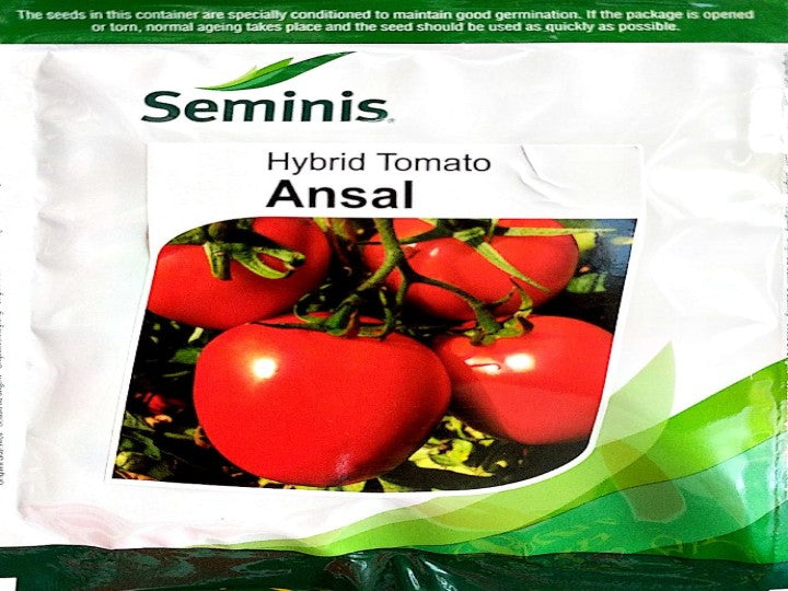 Tomato Ansal (Seminis Seeds - 3500 Seeds ( 8.54 gm))