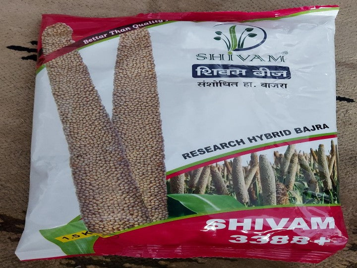 Hy. Bajra Shivam 3388+ (Shivam Seeds - 1.5 kg)