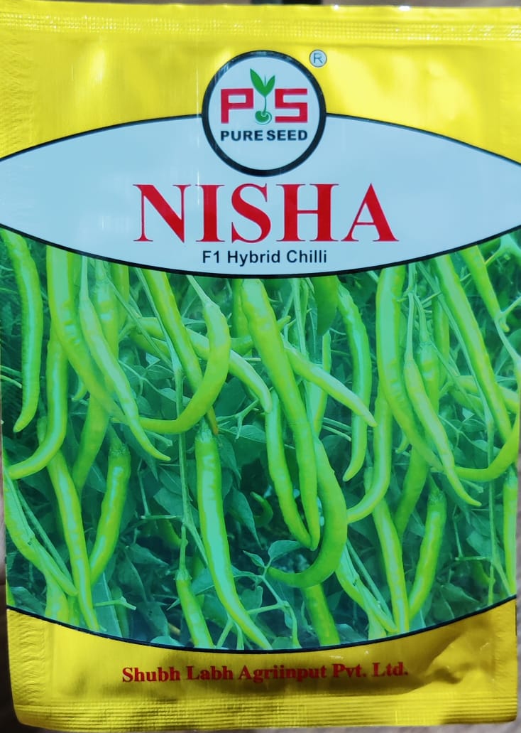 Chilli Nisha (Shubh Labh Seeds - 10 gm)