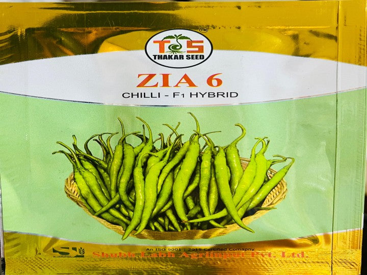 Chilli Zia-6 (Shubh Labh Seeds - 10 gm)