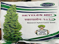 Castor Skyelon 101+ (Skyelon Seeds - 800 gm)
