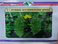 BItter Gourd Vivek (Sungro Seeds - 50 gm)