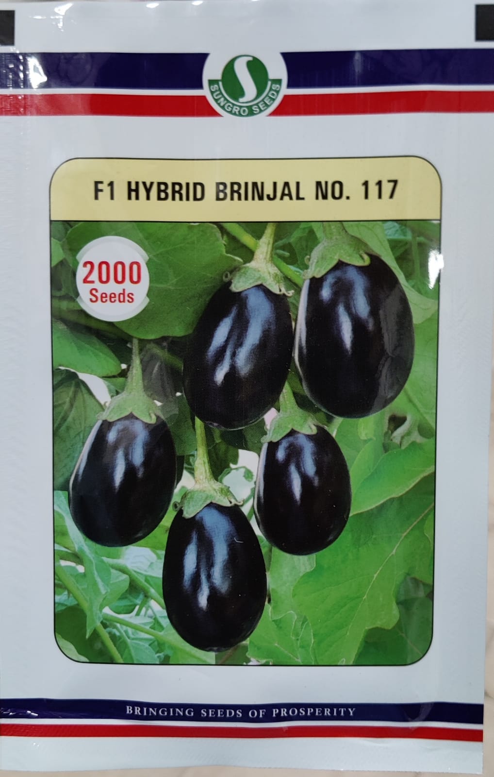 Brinjal No.117 (Sungro Seeds - 2000 Seeds)