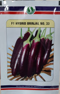 Brinjal No.33 (Sungro Seeds - 10 gm)