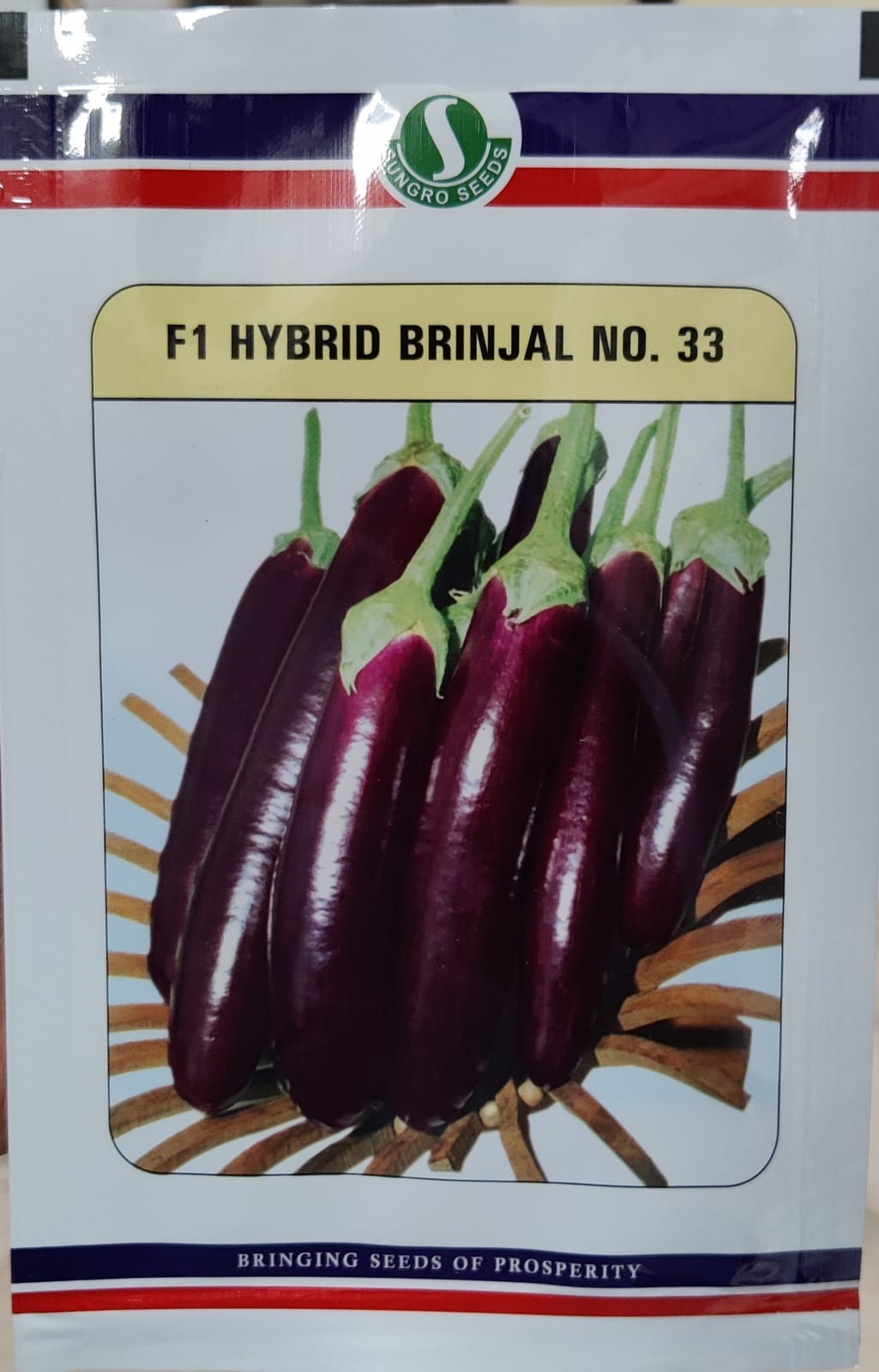 Brinjal No.33 (Sungro Seeds - 10 gm)