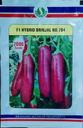 Brinjal No 704 (Sungro Seeds - 2000 seeds)