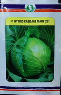 Cabbage Mahy 261 (Sungro Seeds - 10 gm)