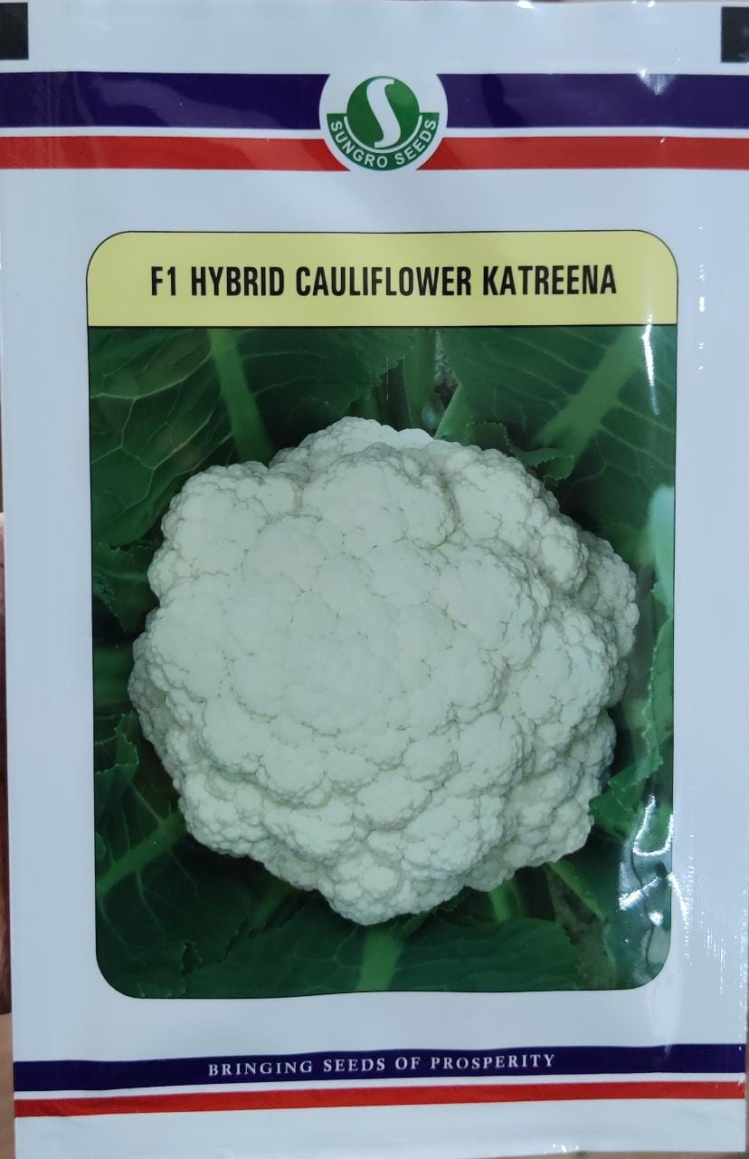 Cauliflower Katreena (Sungro Seeds - 10 gm)