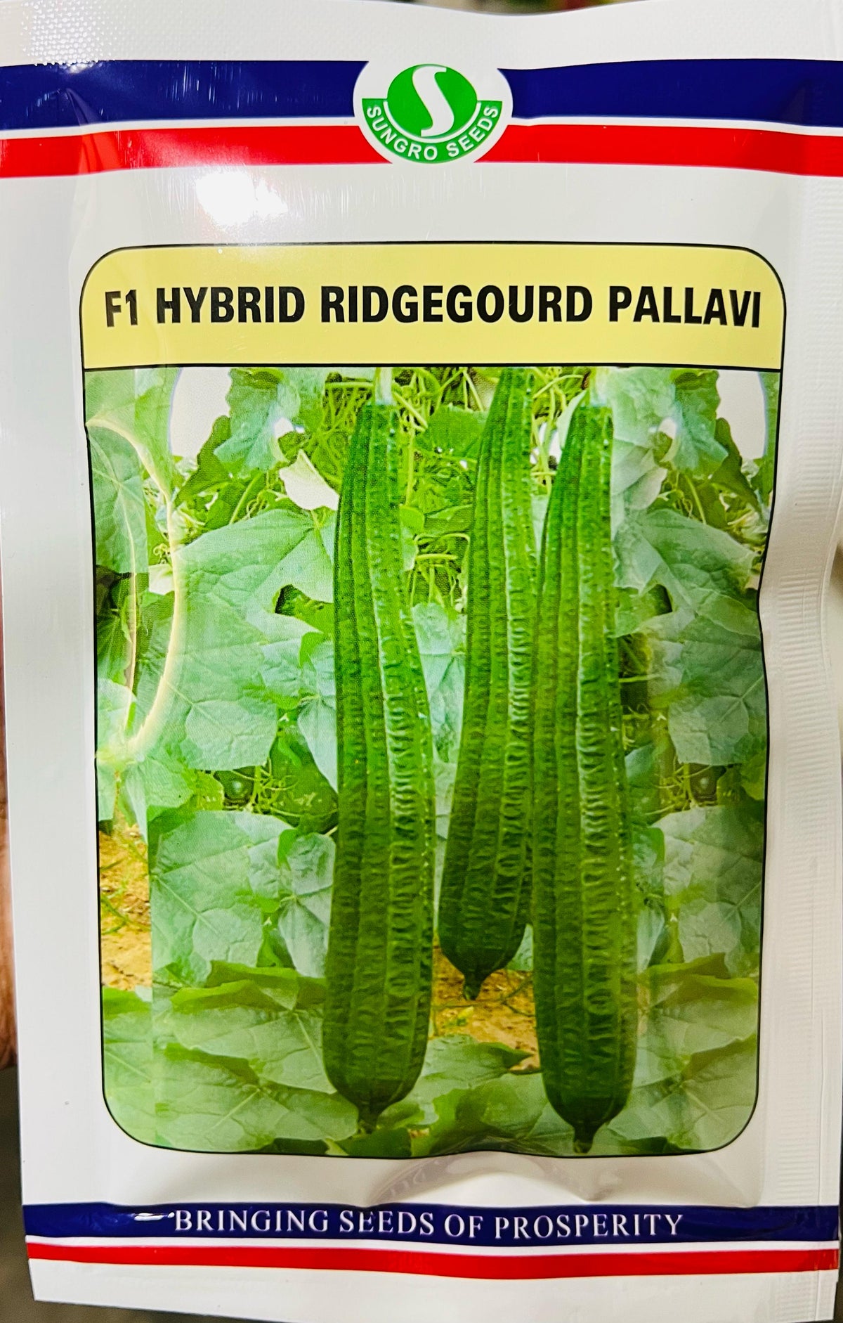 Ridge Gourd Pallavi (Sungro Seeds - 50 gm)