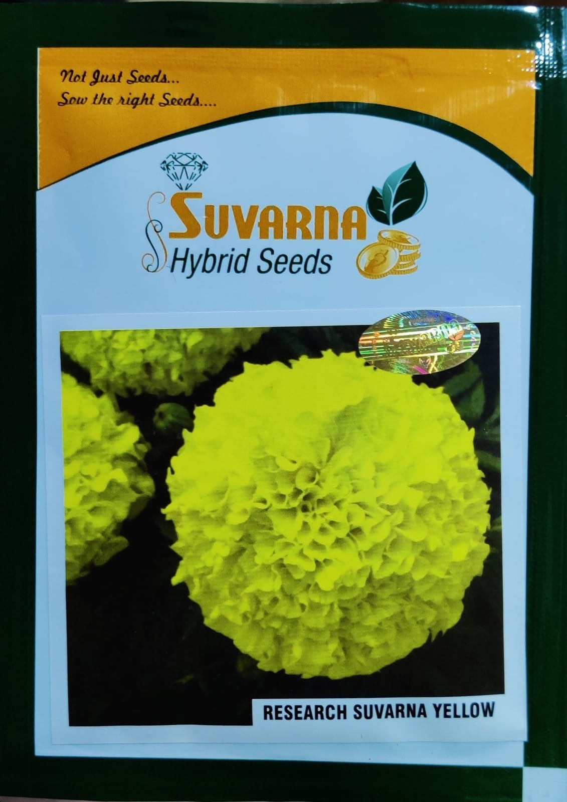 Marigold Suvarna Yellow (Suvarna Seeds - 10 gm)