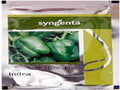 Capsicum Indra (Syngenta Seeds)