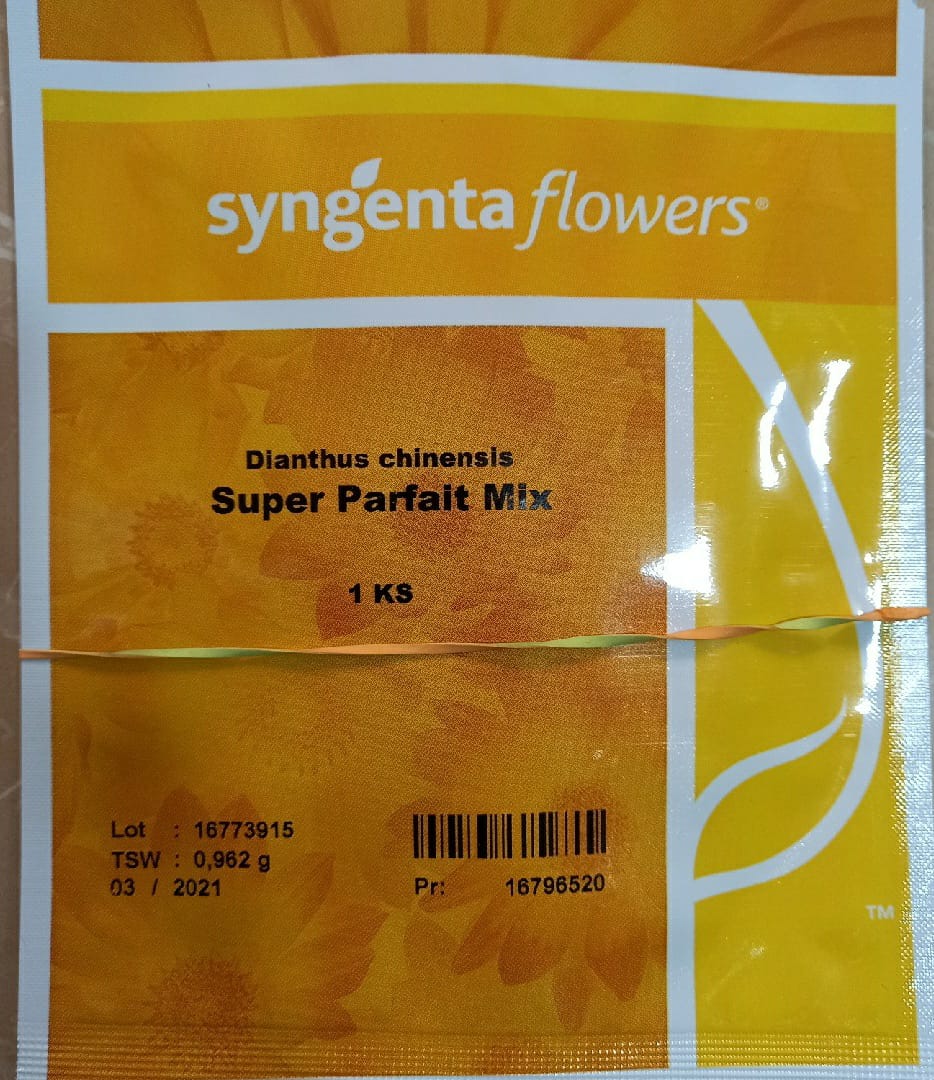 Dianthus Super Parfait Mix (Syngenta Seeds - 1000 Seeds)