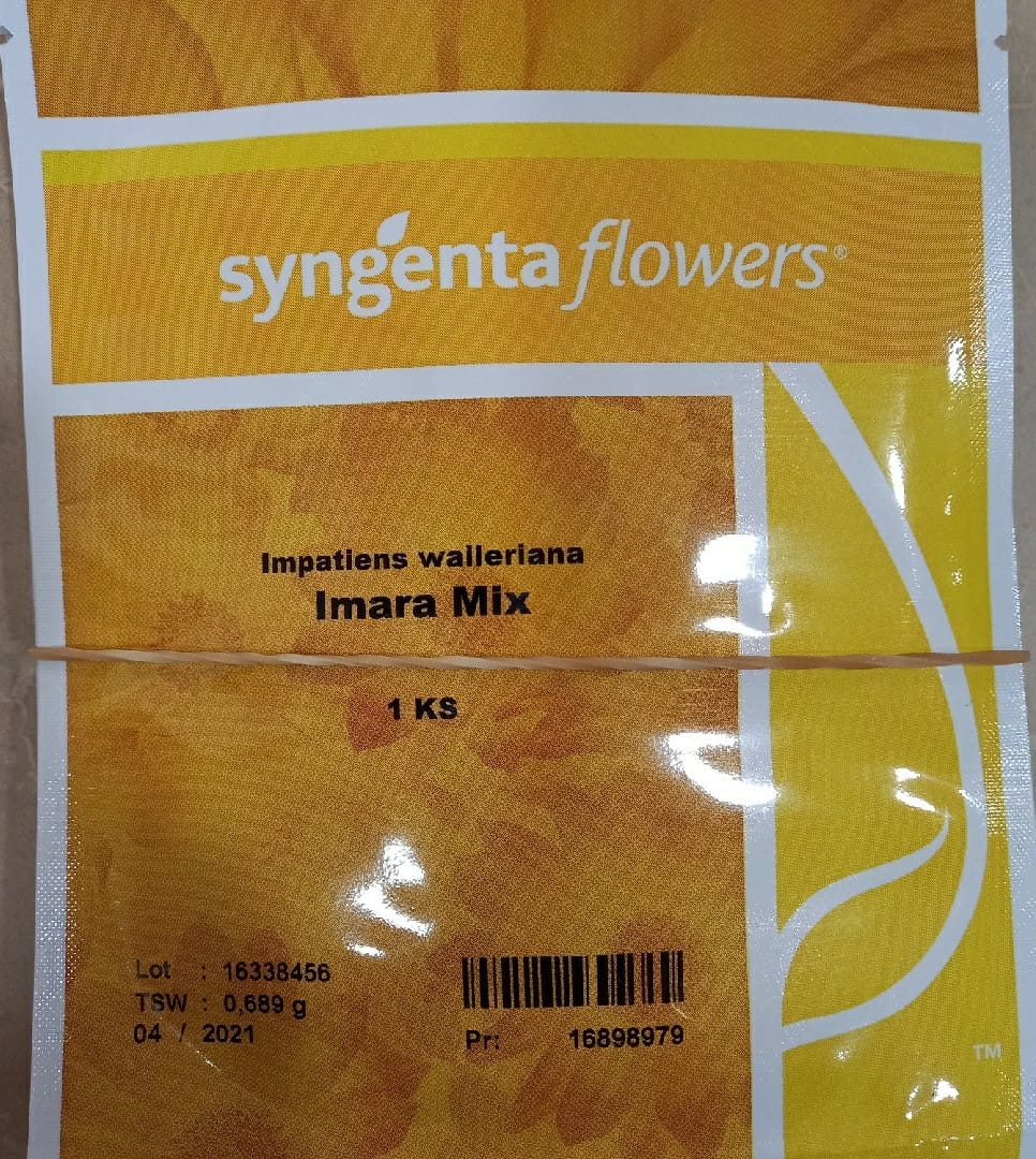 Impatiens Imara Mix (Syngenta Seeds - 1000 Seeds)