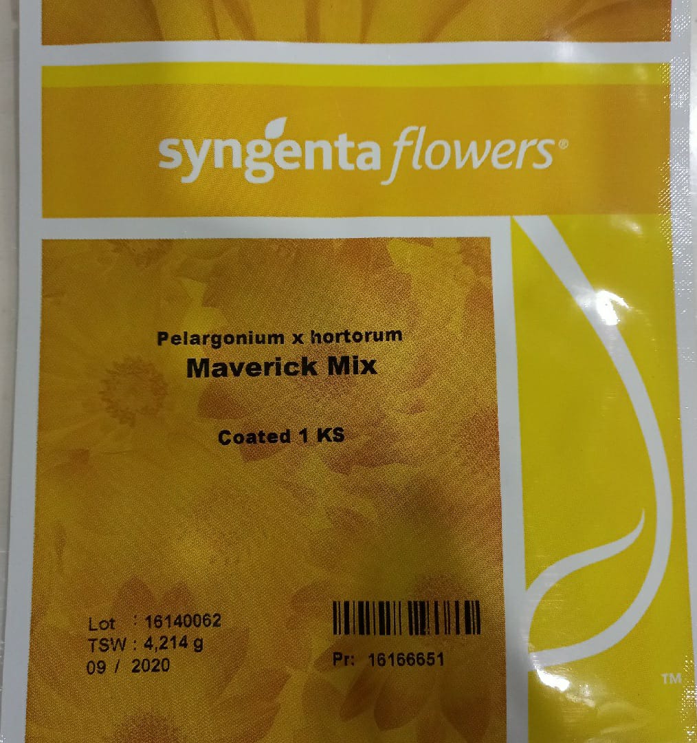 Pelargonium Maverick Mix (Syngenta Seeds - 1000 Seeds)
