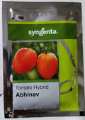 Tomato Abhinav (Syngenta Seeds - 3500 Seeds)