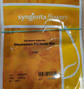 Verbana Obsession Formula Mix (Syngenta Seeds - 1000 Seeds)