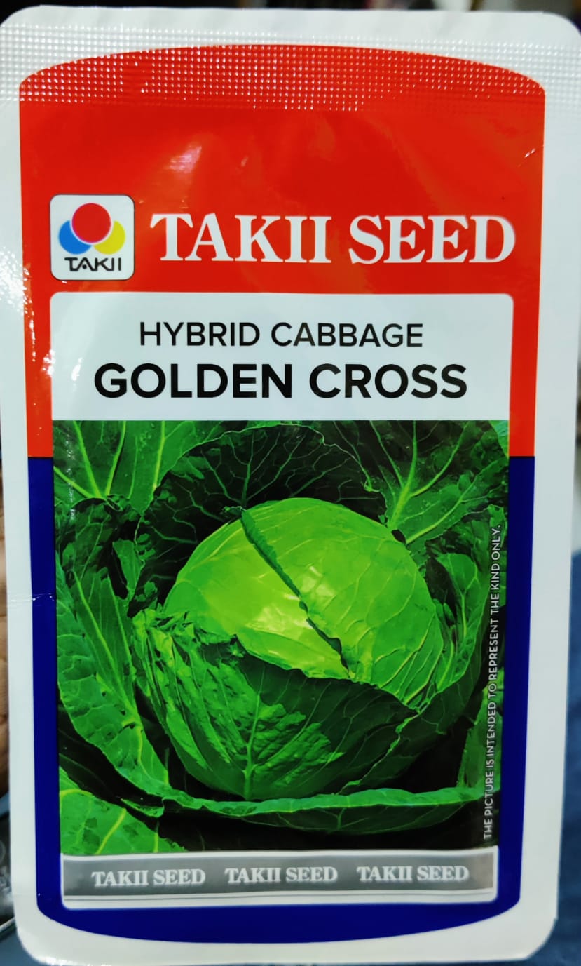 Cabbage Golden Cross (Takii Seed - 10 gm)