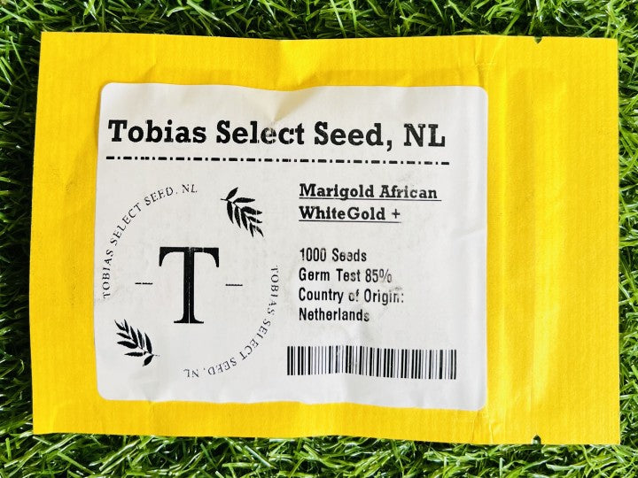 African Marigold White Gold+ (Tobias Select Seed - 1000 Seeds)