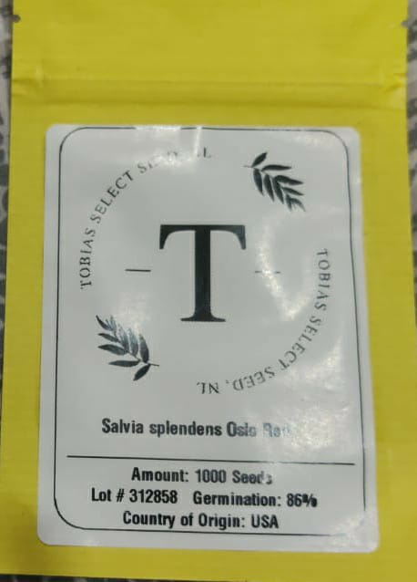 Salvia Splendens Oslo Red (Tobias Select Seed - 1000 Seeds)