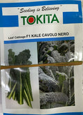 Leaf Cabbage Kale Cavolo Nero (Tokita Seed - 100 Seeds)