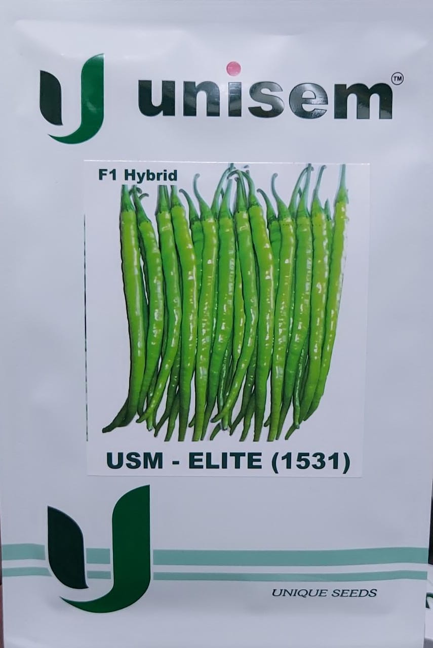 Chilli Elite(1531) (Unisem Seeds - 10 gm)