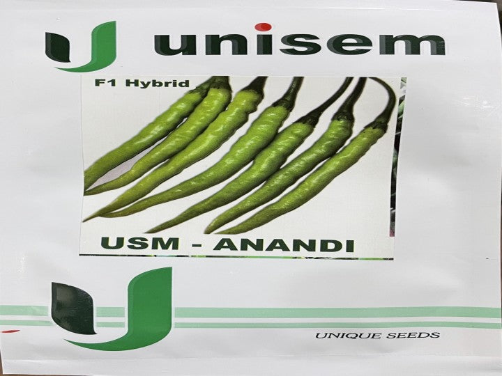 Chilli USM Anandi (Unisem Seeds - 10 gm)
