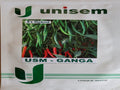 Chilli USM Ganga (Unisem Seeds - 10 gm)