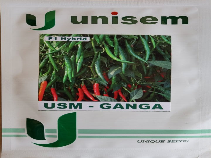 Chilli USM Ganga (Unisem Seeds - 10 gm)
