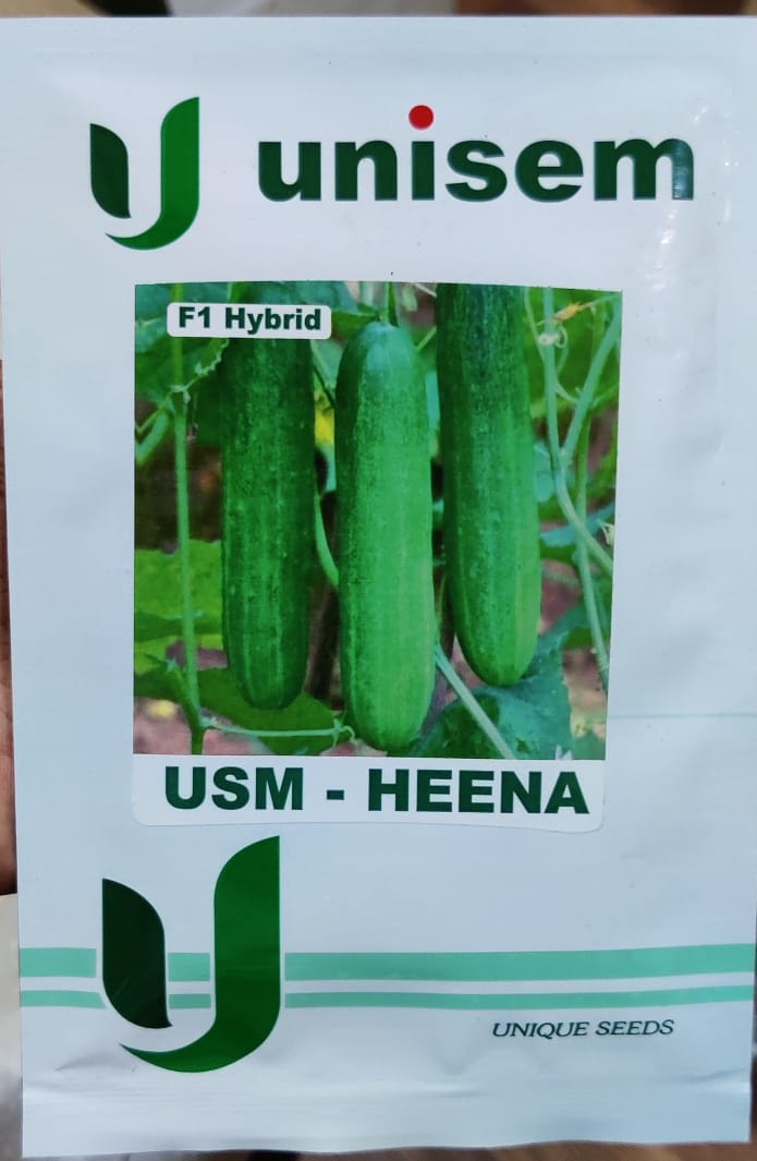 Cucumber USM Heena (Unisem Seeds - 25 gm)