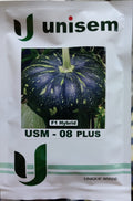 Pumpkin USM 08 Plus (Unisem Seeds - 50 gm)