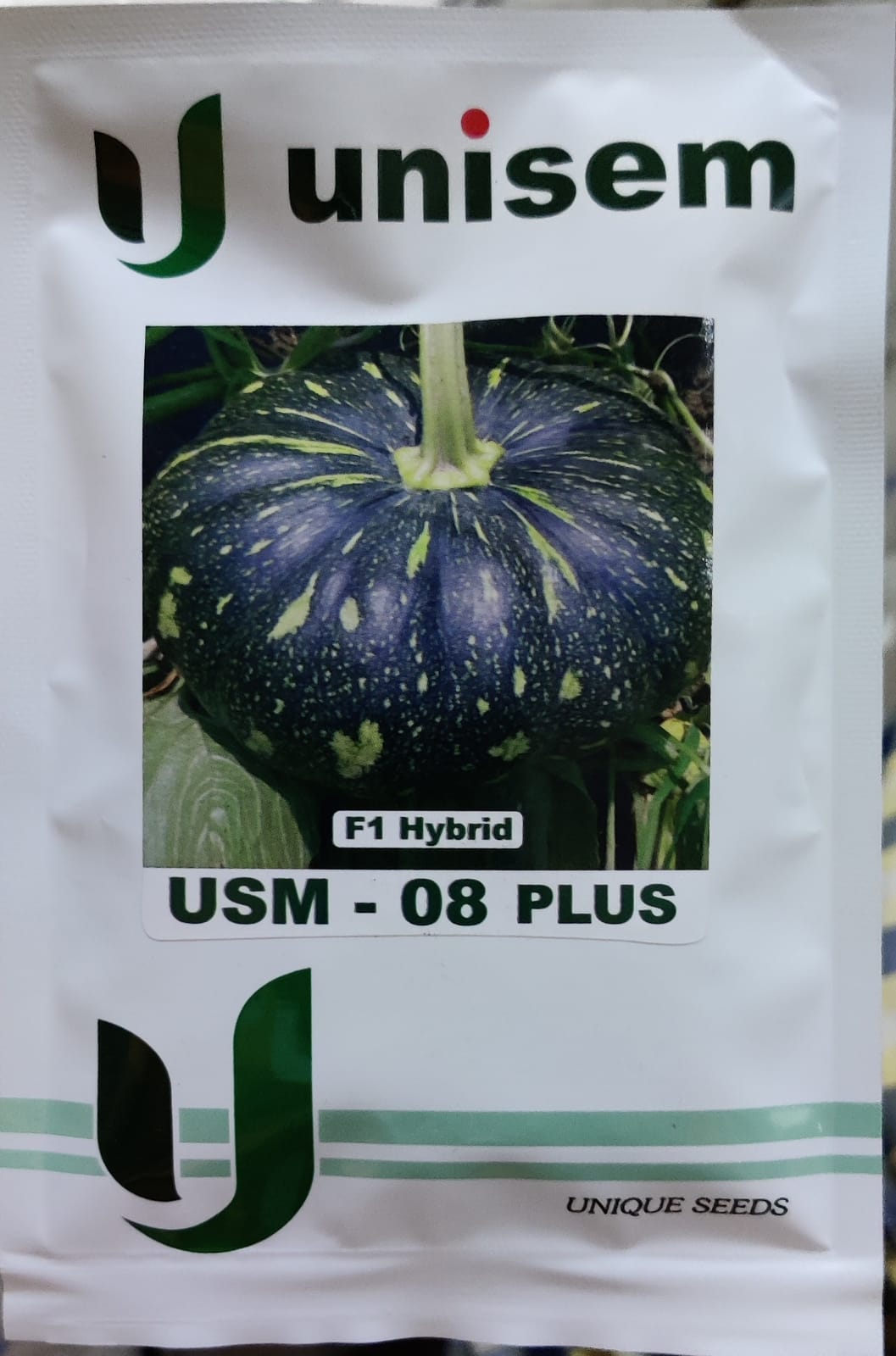 Pumpkin USM 08 Plus (Unisem Seeds - 50 gm)