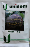 કોળુ USM 10 (યુનિસેમ સીડ્સ - 50 ગ્રામ)