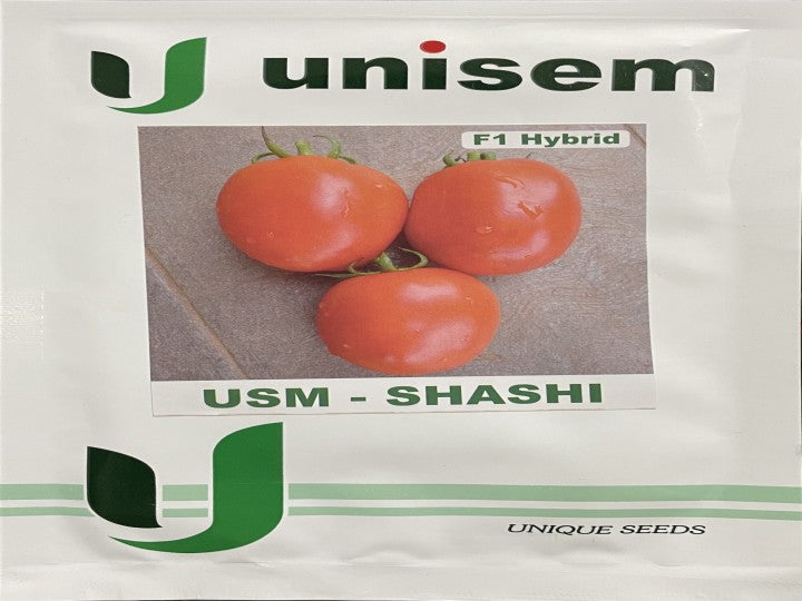 Tomato USM Shashi (Unisem Seeds - 10 gm)