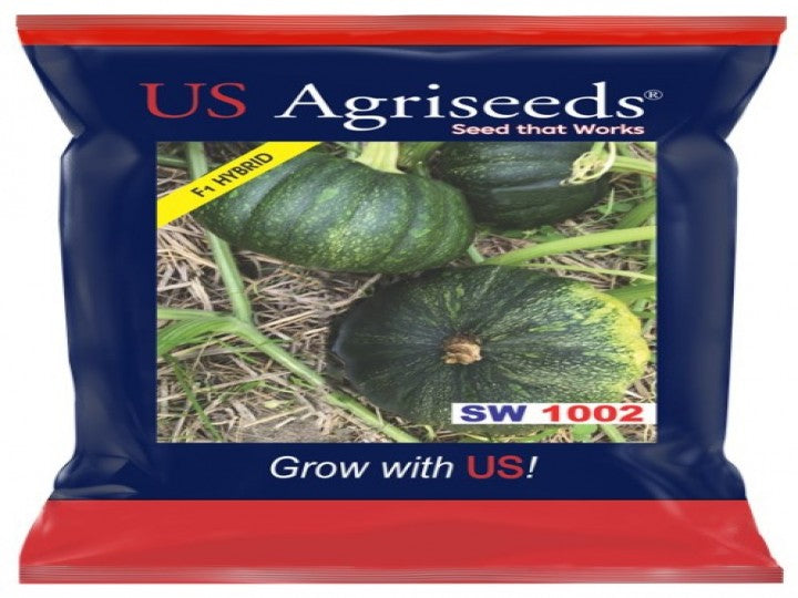 Pumpkin SW 1002 (US Agri Seeds - 50 gm)