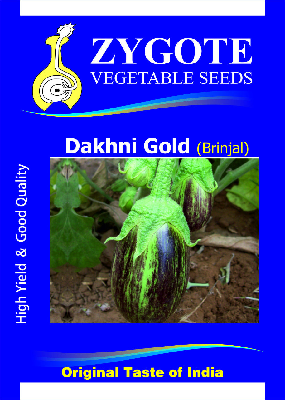 Brinjal Dakhni Gold (Zygote Seeds - 10 gm)