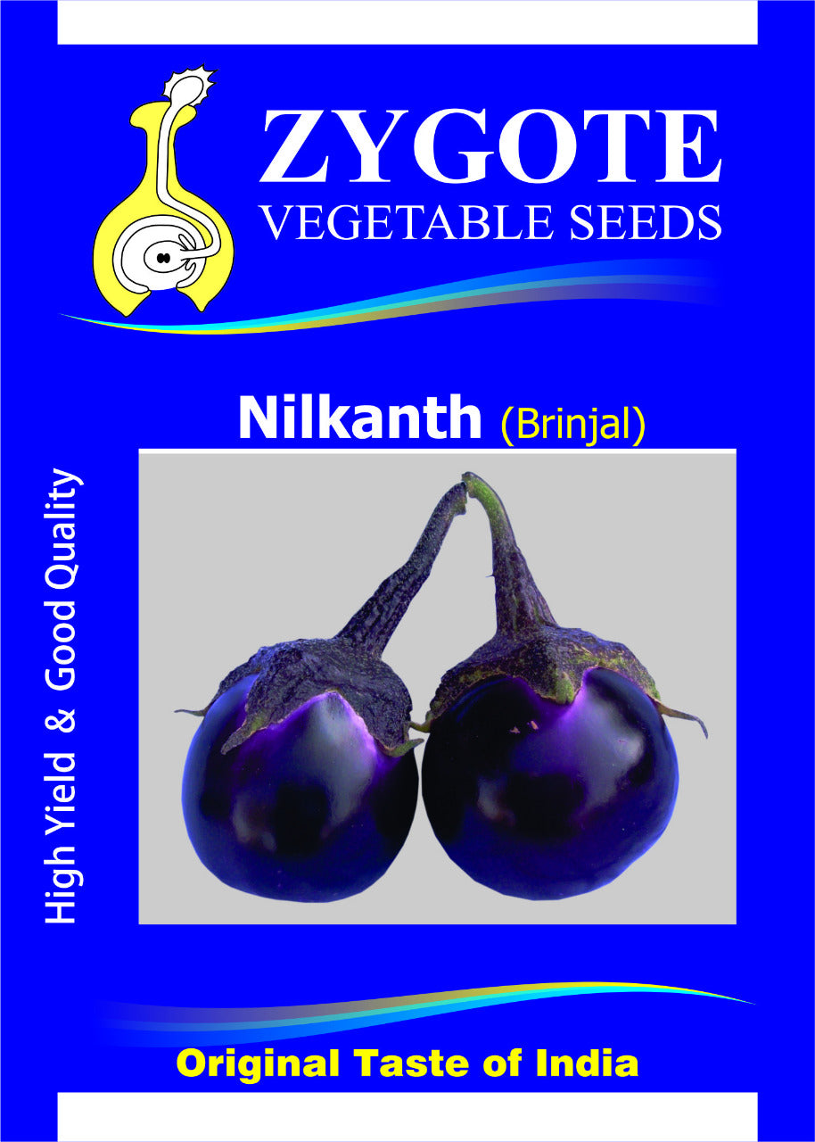 Brinjal Nilkanth (Zygote Seeds - 10 gm)