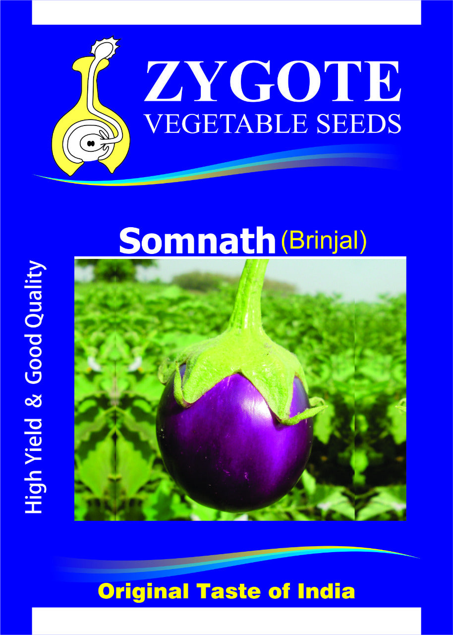 Brinjal Somnath (Zygote Seeds - 10 gm)