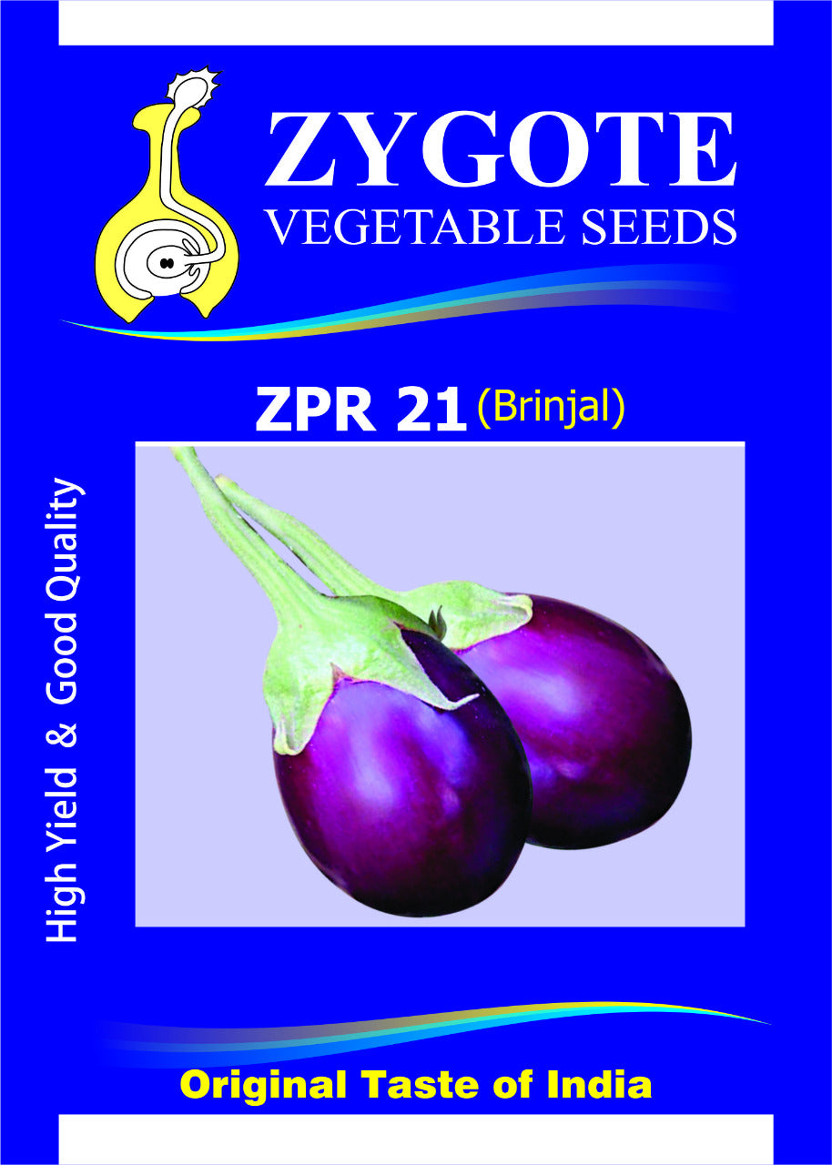 Brinjal ZPR 21 (Zygote Seeds - 10 gm)
