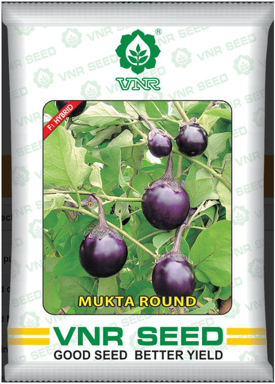 Brinjal Mukta Round (VNR Seeds - 10 gm)